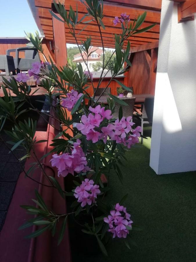 Penzion U Papousku Jindrichuv Hradec Luaran gambar