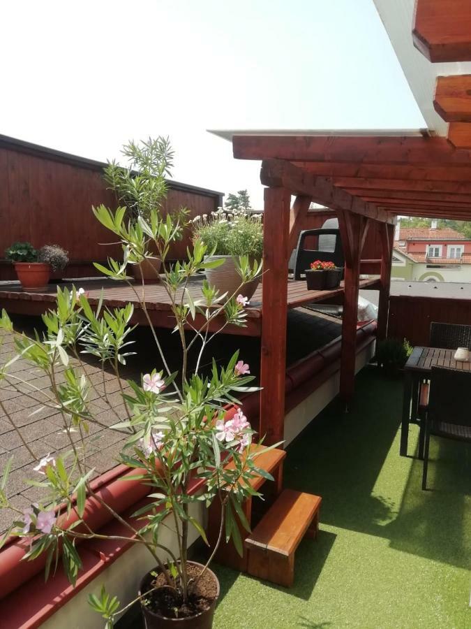 Penzion U Papousku Jindrichuv Hradec Luaran gambar